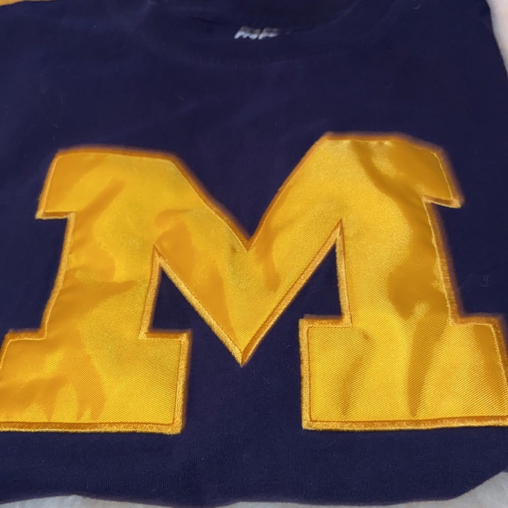 Go Michigan!! - Picture 8 of 8